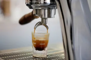 Gear Pump Technology Enters High-End Coffee Machines